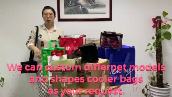 Изготовленная на заказ 6 пакетов нетканая изолированная термосумка-холодильник для обеда, оптовая продажа, производство в Китае